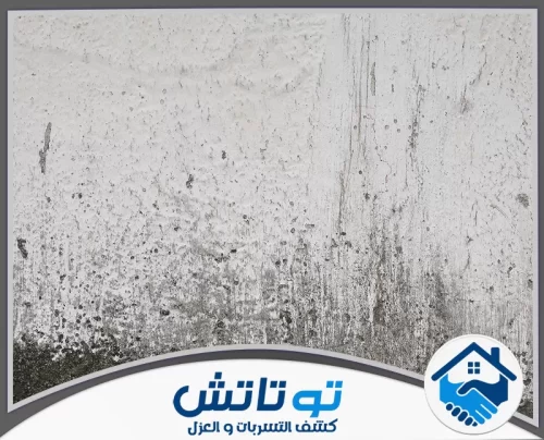 معالجة الرطوبة في دبي 0565603382 شركة توتاتش فحص ذكي بالأجهزة الألمانية لتحديد مكان التسريب بدقة خلف الجدران وتحت الأرضيات وبدون أي تخريب