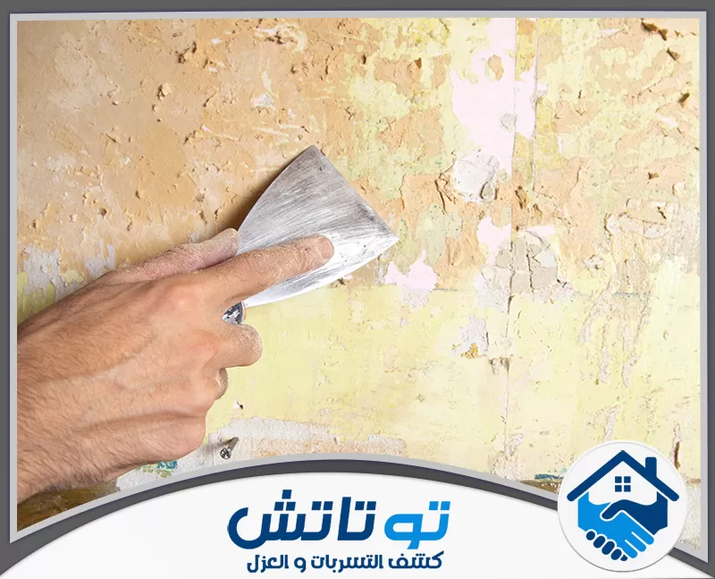 شركة معالجة الرطوبة في الإمارات