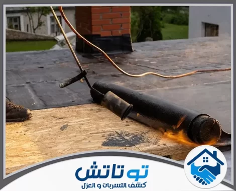شركة عزل اسطح في العين