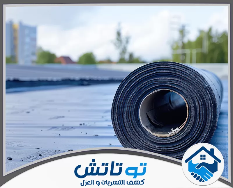 شركة عزل اسطح في ام القيوين