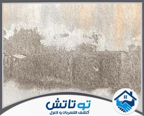 معالجة الخشب ضد الرطوبة في الشارقة 0565603382 شركة توتاتش فحص ذكي وشامل. كشف إلكتروني متطور يحدد مصدر التسريب خلف الجدران وتحت البلاط فوراً وبدون أي تخريب.